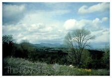 Lanesborough Massachusetts Berkshires Valley Hills Landscape Nature Postcard UNP picture