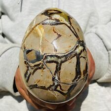 1440g Natural Septarium Dragon's Stone Septarian Crystal Rough Mineral Specimen picture