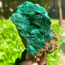 119G  Natural glossy Malachite cat eyetransparent cluster rough mineral sampleg picture