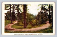 Jamestown VA-Virginia, Jamestown Exposition The Winding Trail, Vintage Postcard picture