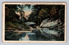 Elyria OH-Ohio, Scenic View in Cascade Park, Antique Vintage c1920 Postcard picture