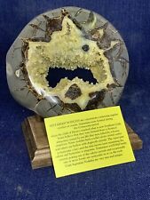 Septarian Nodule Hollow Slab (Utah) Stand And Description Card picture