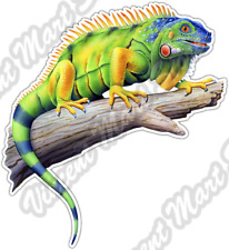 Colorful Green Iguana Lizard Reptile Miami Car Bumper Vinyl Sticker Decal 4
