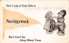 Norridgewock ME Maine Pennant Greetings Postcard Dutch Boy Girl Sweethearts 1912 picture