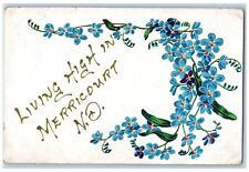Merricourt North Dakota ND Postcard Living High Embossed Flowers Leaves 1910 picture
