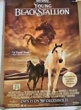 Walt Disney's Young Black Stallion  DVD promotional Movie poster picture