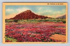 Verbenas On The Desert, Flowers, Plants, Antique, Vintage Souvenir Postcard picture