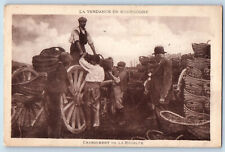 French Postcard The Harvest in Burgundy Loading The Crop c1930's Vintage picture