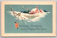 Christmas Greetings Birds In Tree DB Postcard Gibson Pink House  picture