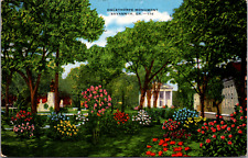 Savannah Georgia GA Oglethorpe Monument Park Flowers Vintage C. 1940's Postcard picture