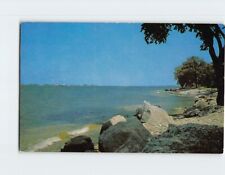 Postcard View of the Shore of St. Lawrence River in the Thousand Islands Region picture