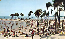 Crowded BeachMatheson Hammock Park Postcard Dade County Miami Florida picture
