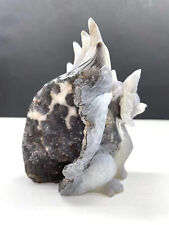 TOP Natural Geode Agate Quartz Carved Nine-tailed fox Skull Crystal Reiki Decor picture