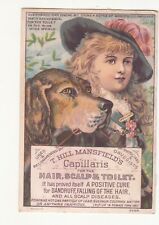 T Hill Mansfield's Capillaris Hair Remedies Girl Dog Wm E Mann Bangor ME c1880s picture