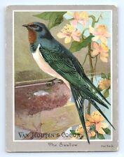 Van Houten's Cocoa Large Trade Card Swallow Bird Quack Medicine VTG Ad picture