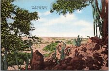 Vintage 1940s ARUBA N.W.I. Postcard 