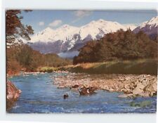 Postcard Cascade Creek Eglinton Valley Fiordland New Zealand picture