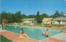 Vintage postcard, Turquoise Pool at Chestnut Grove Lodge, Swiftwater, PA picture