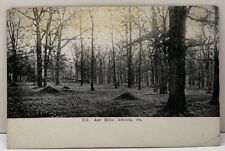 Ant Hills Altoona Pennsylvania c1907 Wooded Scene Postcard F8 picture