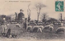 CPA 50 NORMANDY COUNTRIES Norman Shepherds Shepherds Shepherds Sheep & Dogs 1910 picture