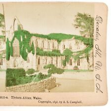 Tintern Abbey Wales Tinted Stereoview c1898 Welsh Monmouthshire Photo Card A1842 picture