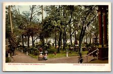 Postcard Grounds At Pine Forest Inn Summerville South Carolina SC c 1904 Detroit picture