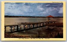 Postcard View Along Lake Shore Lake Dora Mt. Dora Florida *A2740 picture