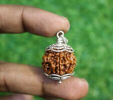 Round One Face Rudraksh Nepali / 1 mukhi Rudraksh Certified from IGL picture