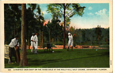PC GOLF, USA, FL, DAVENPORT, HOLLY HILL GOLF COURSE, Vintage Postcard (b45419) picture