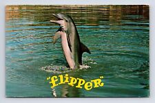 Flipper Dolphin Star at Seaquarium Miami Florida FL Chrome Postcard picture