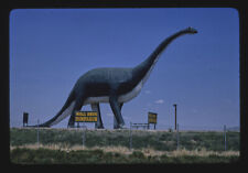 Wall Drug dinosaur Wall South Dakota 1980s Historic Old Photo picture