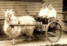 Goat cart with two boys 1920's Charles and Clifton McGowan RPPC Postcard RR1 picture