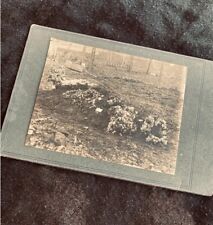 Antique Graveyard/Cemetery Cabinet Card - Funeral/ Memorial Photo - Victorian/Ed picture