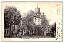 1906 Town Hall Exterior Roadside Jamaica New York NY Unposted Trees Postcard picture