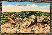 Antique Linen Postcard - Iron Log in Cedar Canyon, North Dakota Bad-Lands picture