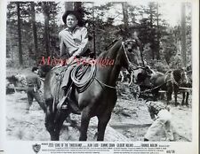 Vintage Photo 1960 ALAN LADD horseback GUNS OF THE TIMBERLAND  picture