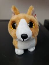 Pembroke Welsh Corgi COLIN Ty Beanie Baby 6 Inch NEW picture