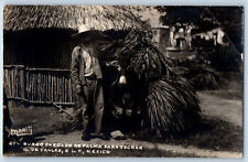 C De Valles SLP Mexico Postcard Donkey Loaded With Palm c1940's RPPC Photo picture