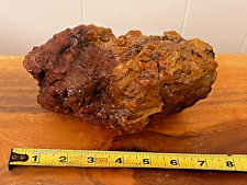 petrified wood rough silica orange lapidary crystal 3lb 6oz picture