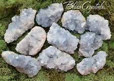 Pretty 1 CELESTITE Med Geode Rough Mineral Point Specimen #CG22 picture