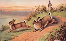 Tucks Oilette Easter Card Bunny Rabbit Hunting Startled Drawing Vtg Postcard D40 picture