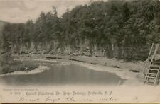 1905 Landscape View Catskill Mtns Gorge Devasego Prattsville NY Postcard D46 picture