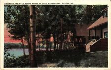 Vintage Postcard- COTTAGES, LAKE WASSOOKEAG, DEXTER, ME. Early 1900s picture