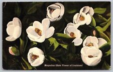 Postcard Louisiana Magnolia State Flower Tropical Foliage Linen Cancel WOB picture