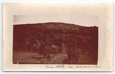 New Zealand Pine Hill In Summer RPPC Real Photo Postcard B31 picture
