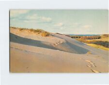 Postcard Michigan Sand Dunes Michigan USA picture