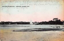 Crystal River Bay Florida West Apopka c1909 Wheeler Homosassa Vtg Postcard A58 picture
