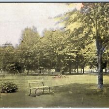 c1910s Albert Lea, MN Park Scene Postcard Suhling Co Pub Rare View Bench A116 picture