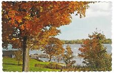 Vintage Maine Chrome Postcard Fall on Coast Foliage at its Best picture
