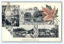 1903 Multiview Rockwood Park St. John New Brunswick Canada Foreign Postcard picture